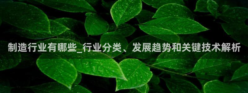 彩神V3大赢家：制造行业有哪些_行业分类、发展趋势和关键技术