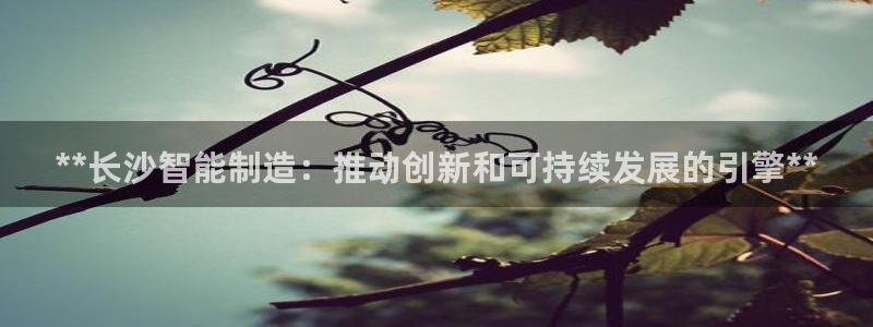 新版彩神v8登录教程：**长沙智能制造：推动创新和可持续发展的引擎**