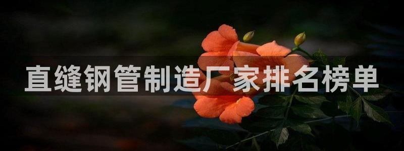 彩神V官网：直缝钢管制造厂家排名榜单