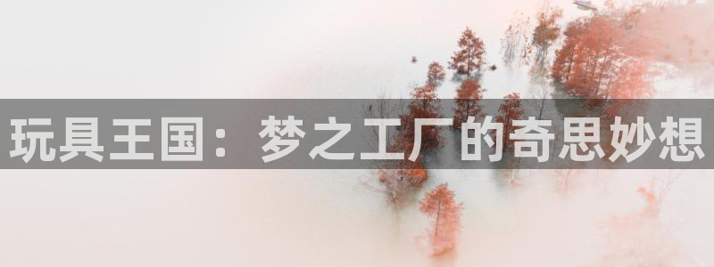 彩神v秘聊号码：玩具王国：梦之工厂的奇思妙想