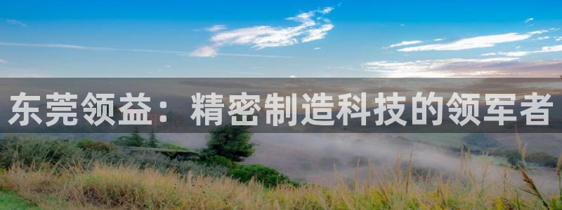 彩神viii是正规平台吗?：东莞领益：精密制造科技的领军者