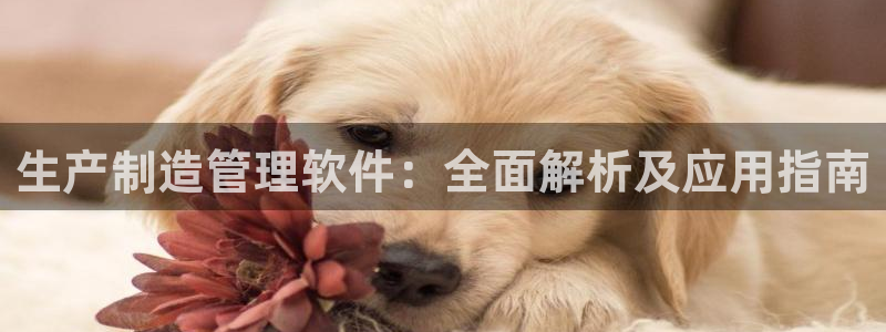 彩神购彩-购彩大厅入口下载：生产制造管理软件：全面解析及应用指南