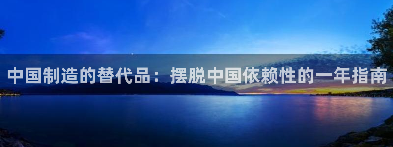 彩神平台：中国制造的替代品：摆脱中国依赖性的一年指南